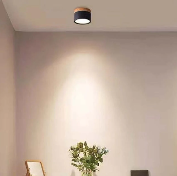 Morandi-geïnspireerde Moderne Led Plafondlamp