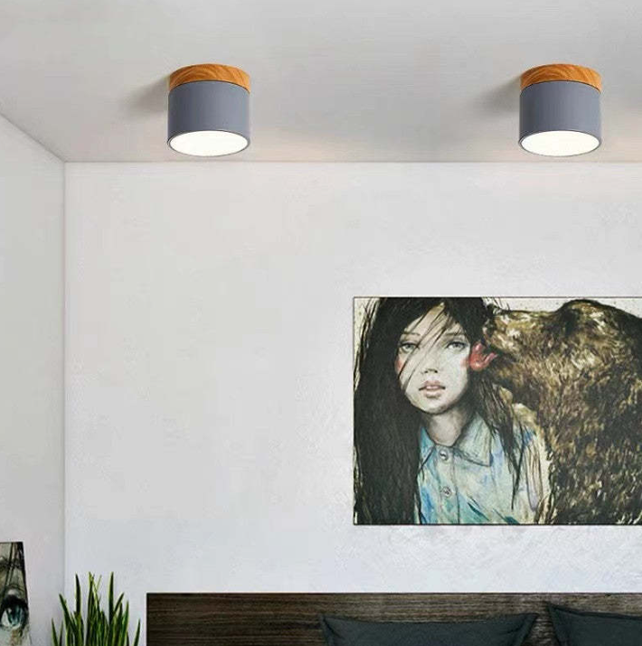 Morandi-geïnspireerde Moderne Led Plafondlamp