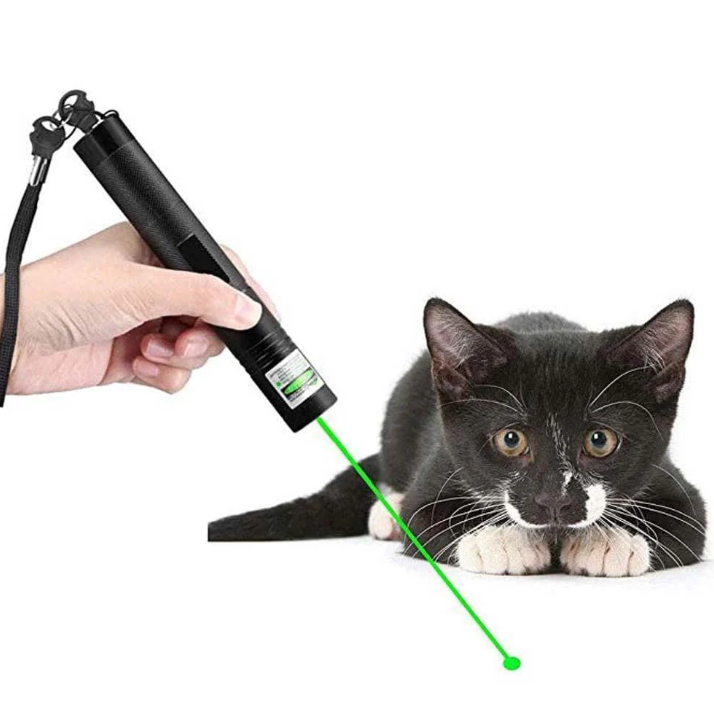 Hoogwaardige Laseraanwijzer