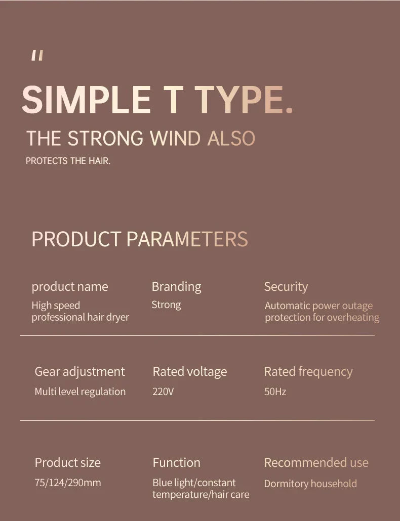 Hoge Prestaties 2400w Haardroger met Koude en Warme Luchtfunctie - Ionentechnologie