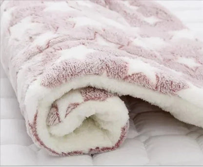 Het Knuffelbare Warmtekussen voor Katten