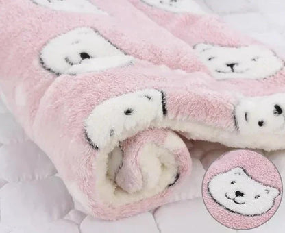 Het Knuffelbare Warmtekussen voor Katten