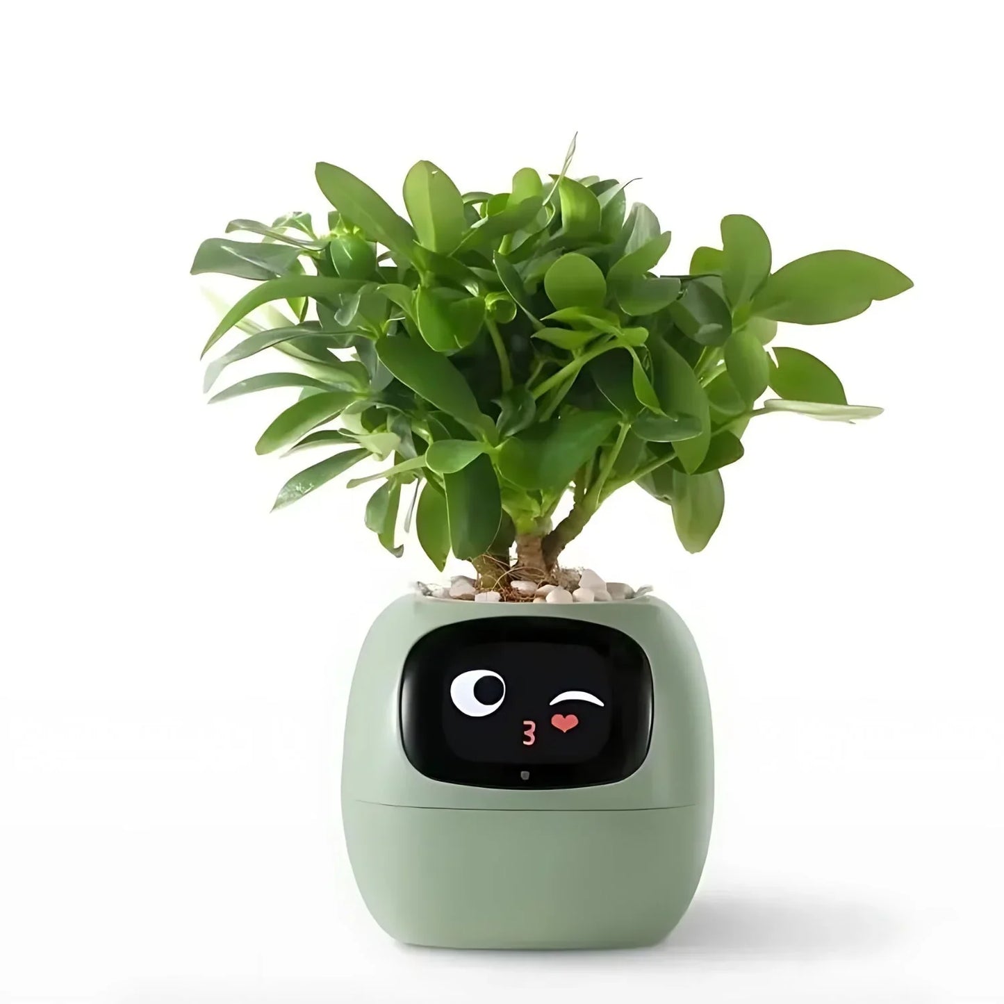 Automatische Slimme Bloempot met Bewateringssysteem en Led-verlichting