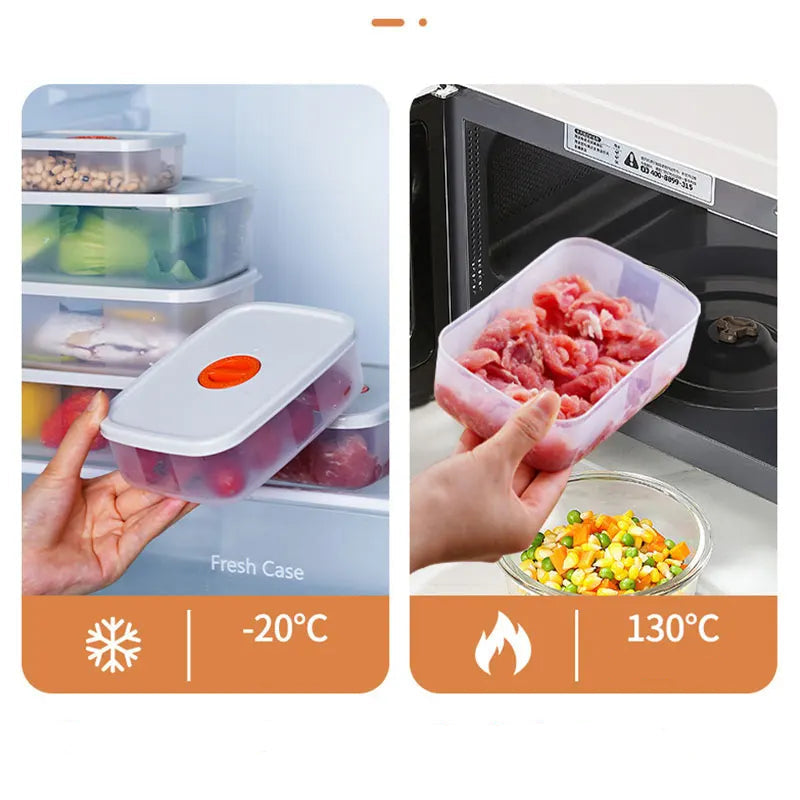 Bento Lunchbox - Voedselcontainer met Compartimenten