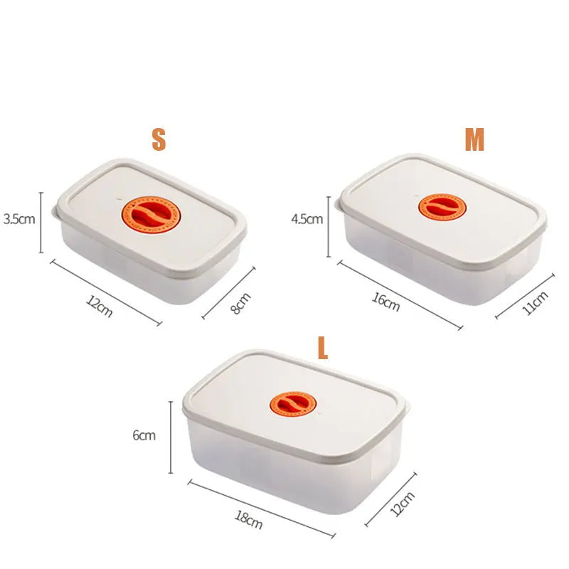 Bento Lunchbox - Voedselcontainer met Compartimenten