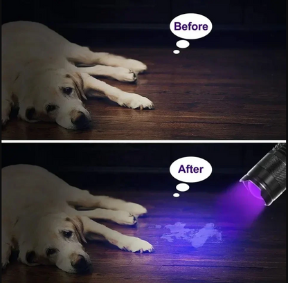 Uv Led Zaklamp - Ultraviolet Licht voor het Opsporen van Vlekken en Urine van Huisdieren