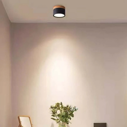 Morandi-geïnspireerde Moderne Led Plafondlamp