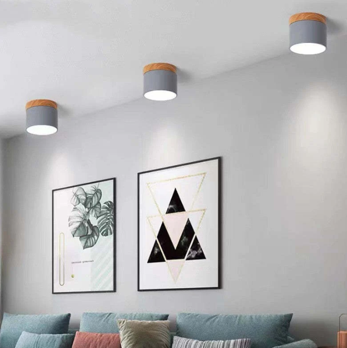 Morandi-geïnspireerde Moderne Led Plafondlamp