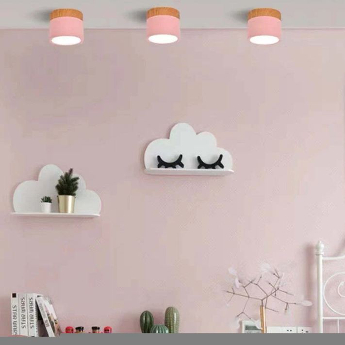 Morandi-geïnspireerde Moderne Led Plafondlamp