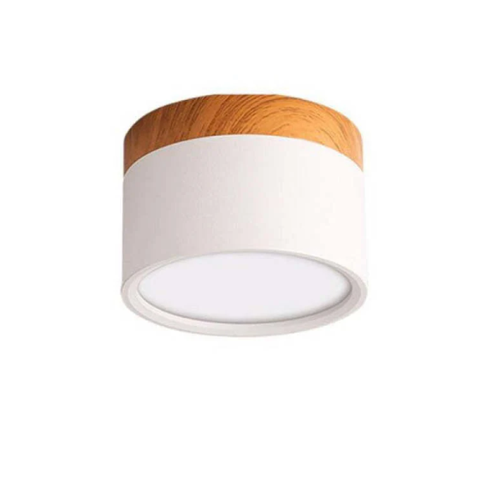 Morandi-geïnspireerde Moderne Led Plafondlamp