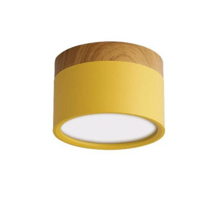 Morandi-geïnspireerde Moderne Led Plafondlamp