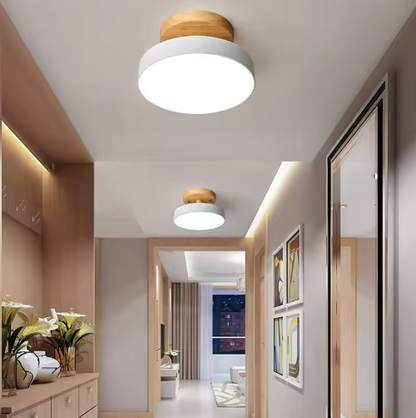 Noordse Led Plafondlamp