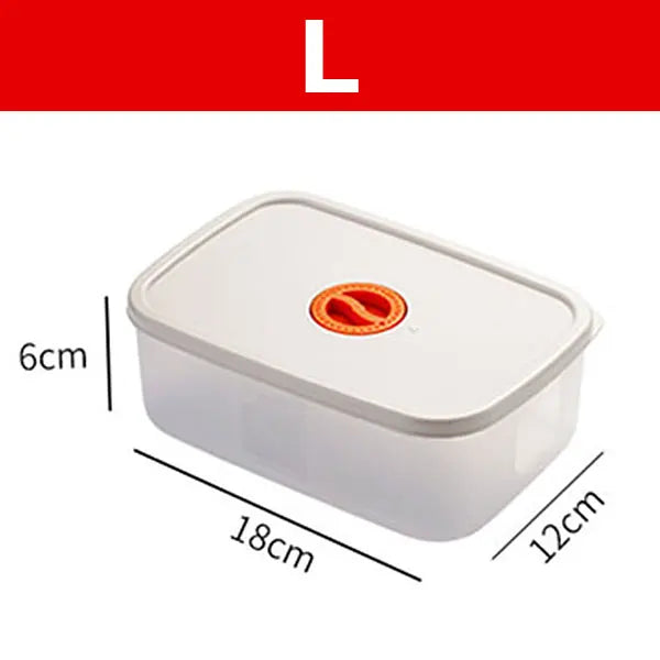 Bento Lunchbox - Voedselcontainer met Compartimenten